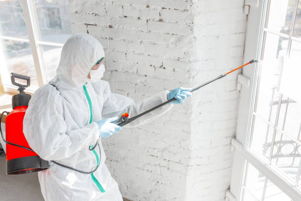 Best Comprehensive Air Testing for Mold Contaminants  in USA